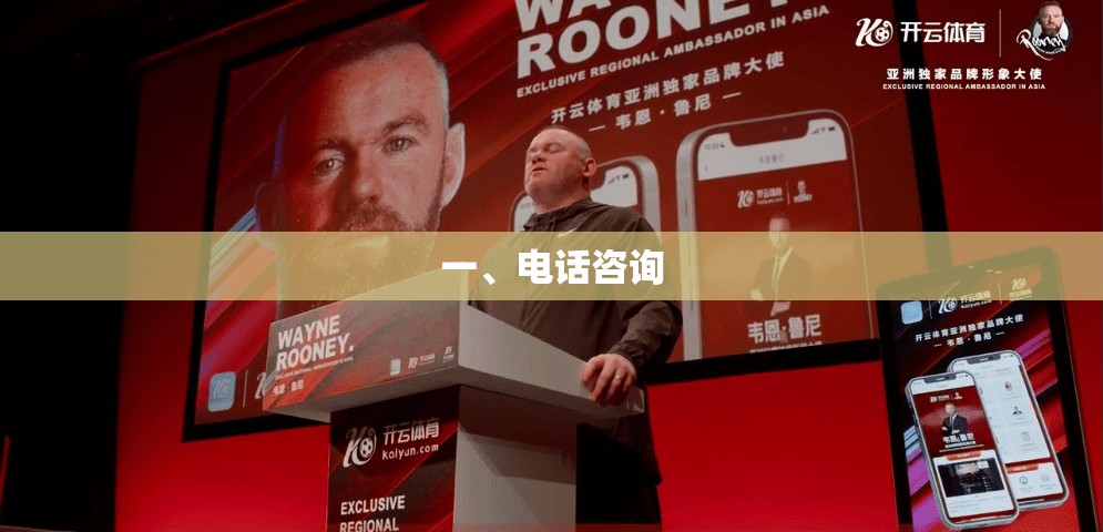 一、电话咨询 一、电话咨询