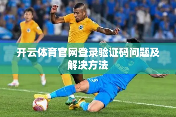 开云体育官网登录验证码问题及解决方法