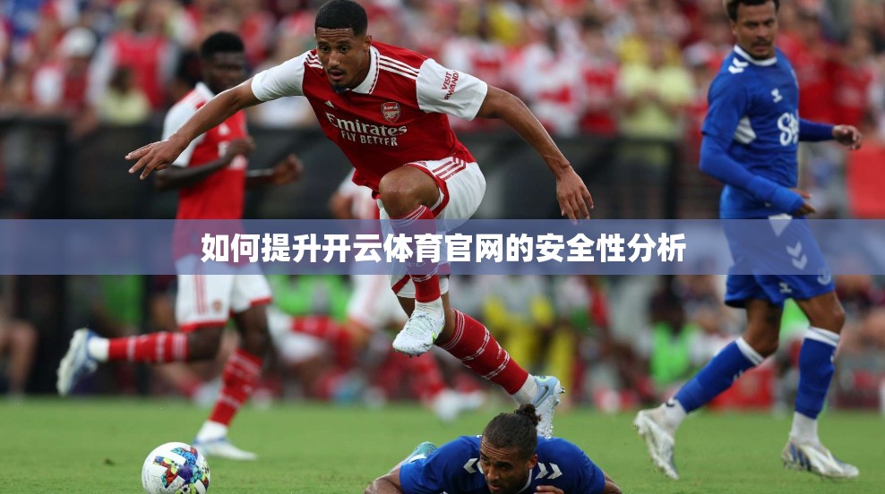 如何提升开云体育官网的安全性分析