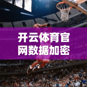 开云体育官网数据加密技术与防护措施应用指南