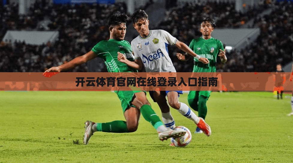 开云体育官网在线登录入口指南