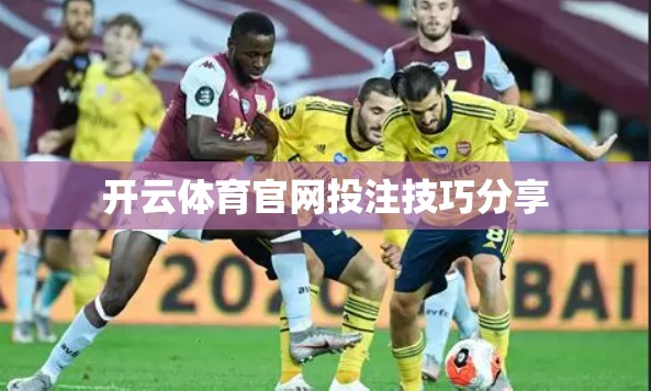 开云体育官网投注技巧分享