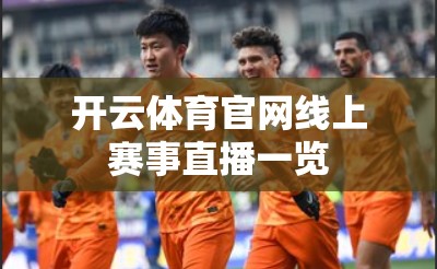 开云体育官网线上赛事直播一览