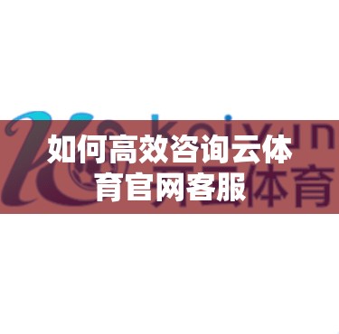 如何高效咨询云体育官网客服