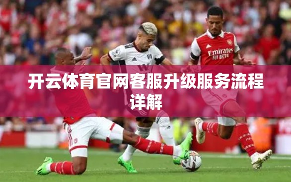 开云体育官网客服升级服务流程详解