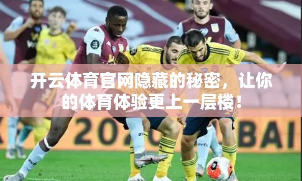 开云体育官网隐藏的秘密，让你的体育体验更上一层楼！