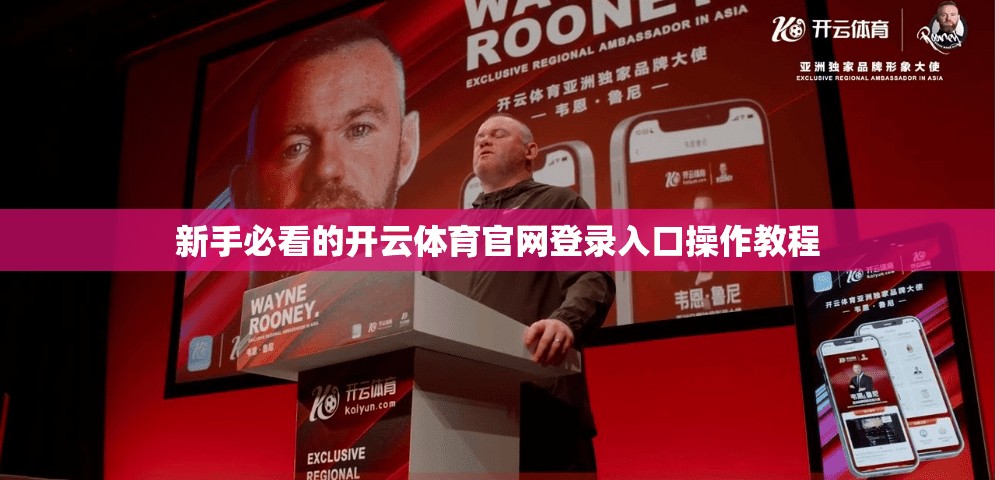 新手必看的开云体育官网登录入口操作教程