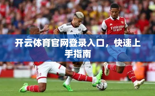 开云体育官网登录入口，快速上手指南