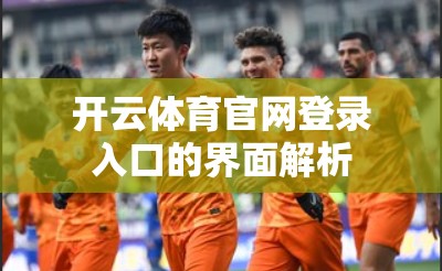 开云体育官网登录入口的界面解析