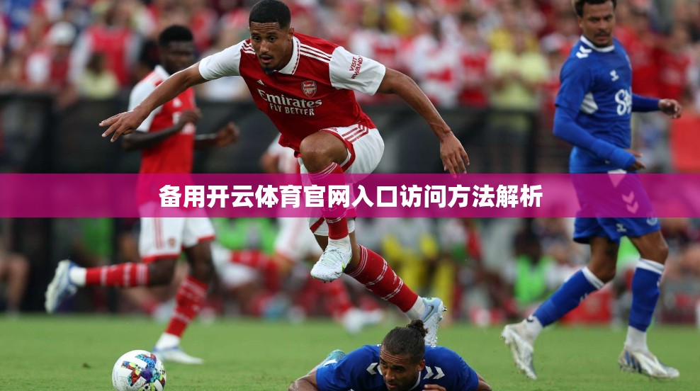 备用开云体育官网入口访问方法解析