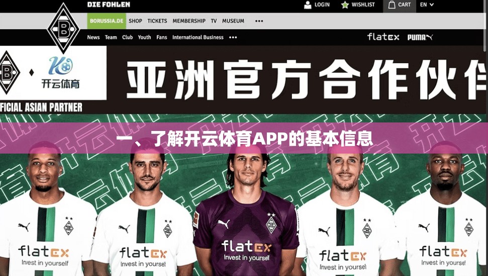 一、了解开云体育APP的基本信息
