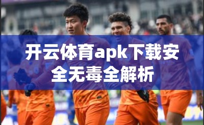 开云体育apk下载安全无毒全解析