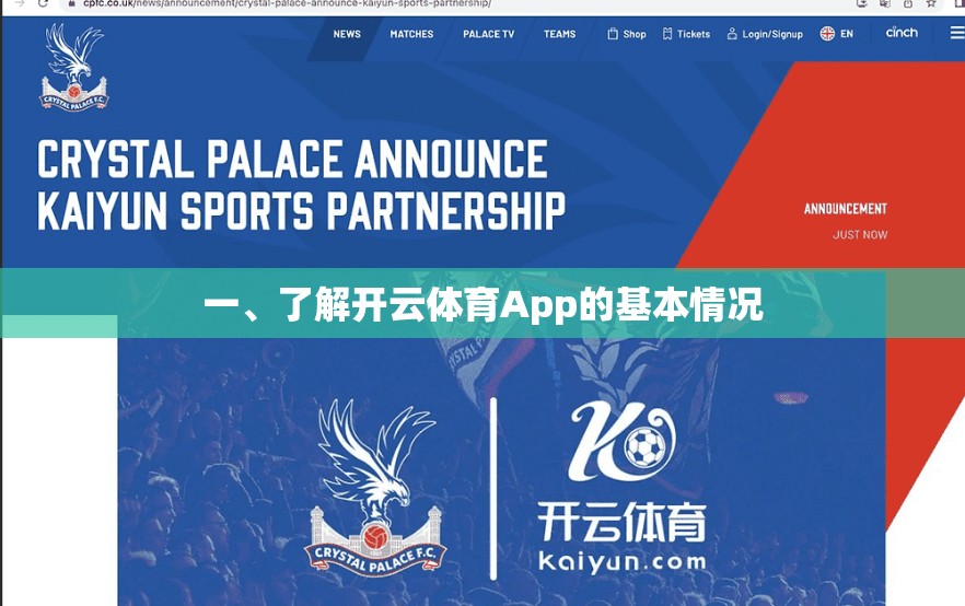 一、了解开云体育App的基本情况