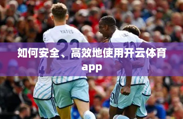 如何安全、高效地使用开云体育app