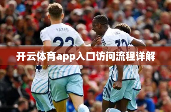 开云体育app入口访问流程详解
