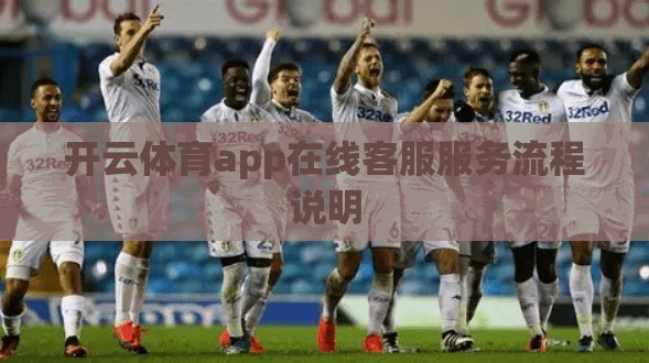 开云体育app在线客服服务流程说明