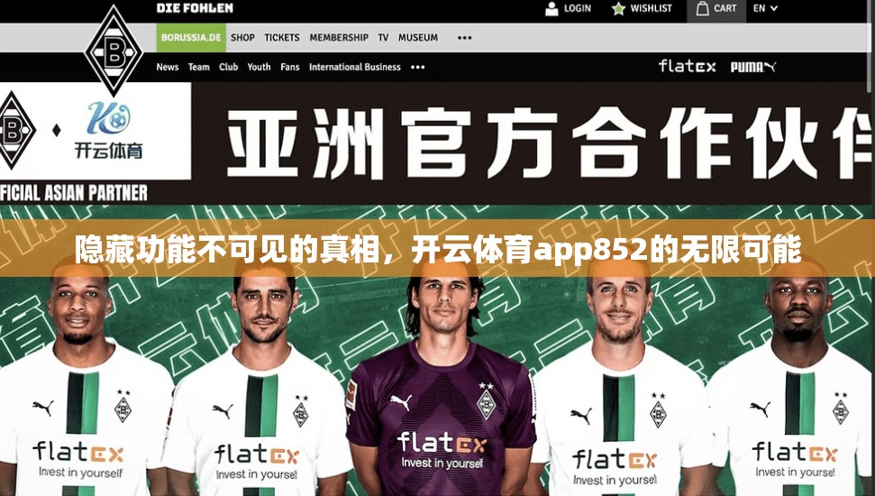 隐藏功能不可见的真相，开云体育app852的无限可能