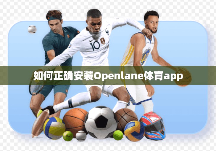 如何正确安装Openlane体育app
