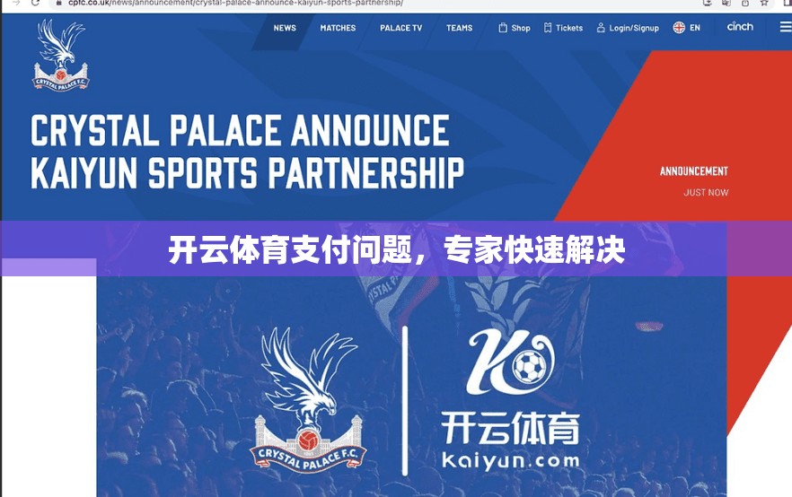 开云体育支付问题，专家快速解决