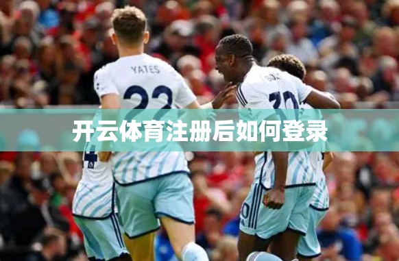 开云体育注册后如何登录