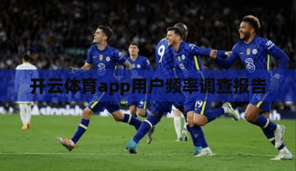 开云体育app用户频率调查报告