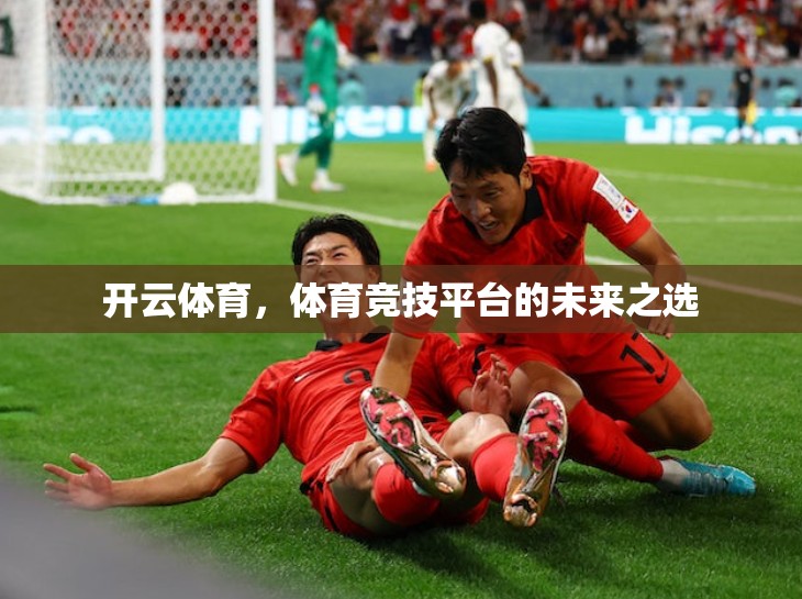 开云体育，体育竞技平台的未来之选