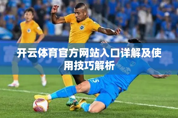 开云体育官方网站入口详解及使用技巧解析