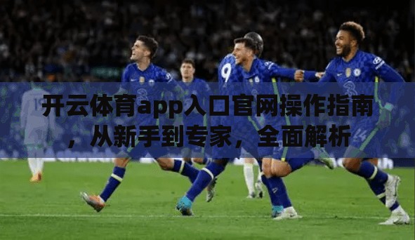 开云体育app入口官网操作指南,从新手到专家,全面解析