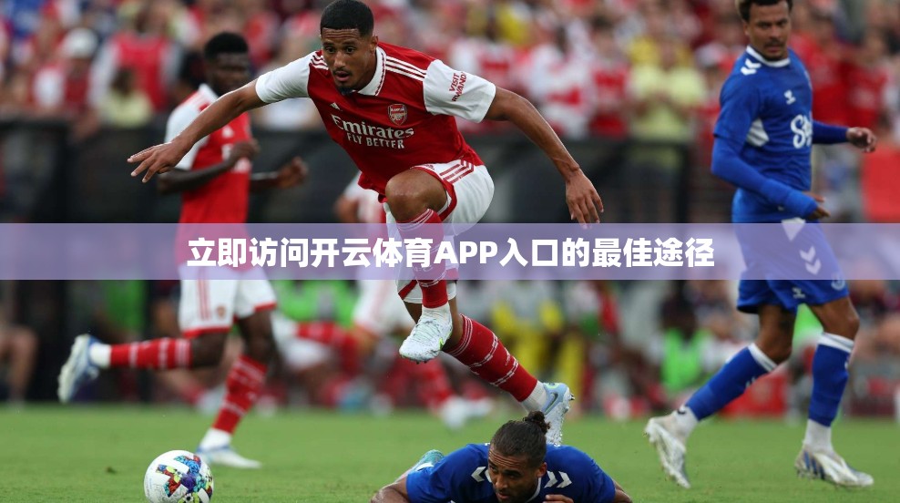 立即访问开云体育APP入口的最佳途径