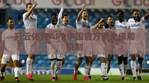 开云体育APP中国官方安全保障机制