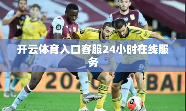 开云体育入口客服24小时在线服务