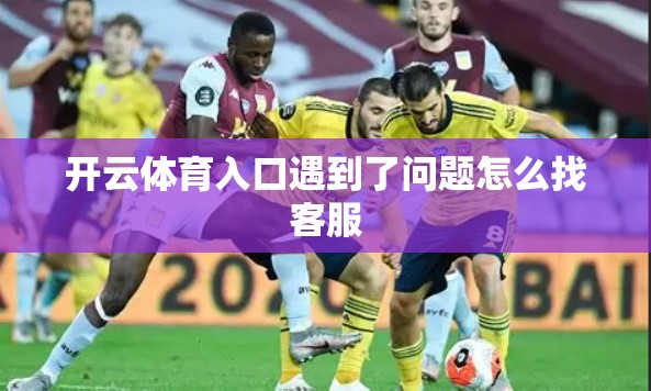 开云体育入口遇到了问题怎么找客服