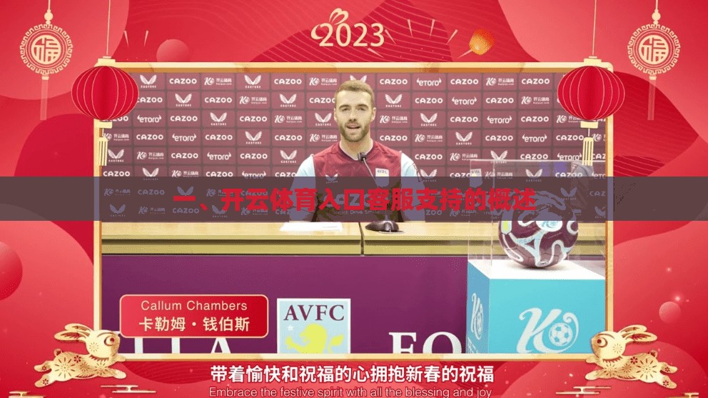 一、开云体育入口客服支持的概述