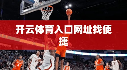 开云体育入口网址找便捷