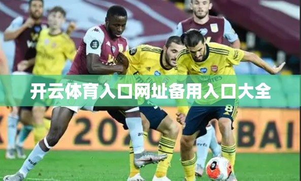 开云体育入口网址备用入口大全 开云体育入口网址备用入口大全