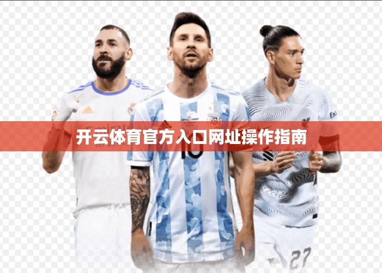 开云体育官方入口网址操作指南