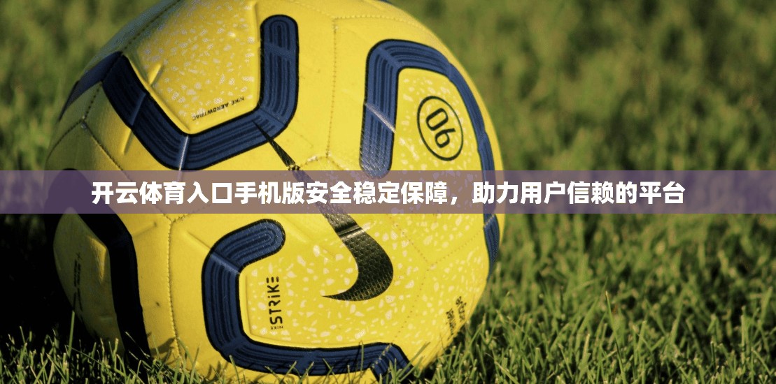开云体育入口手机版安全稳定保障，助力用户信赖的平台