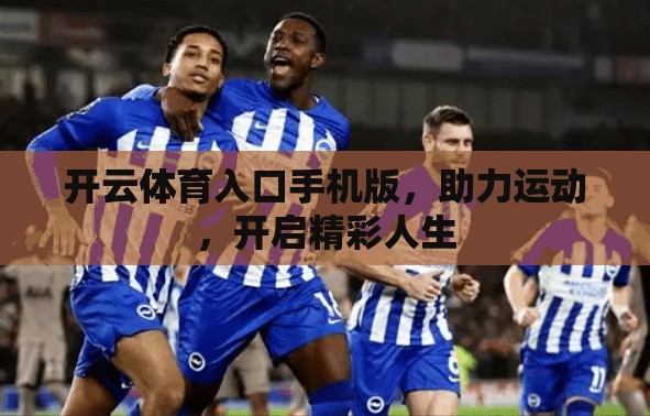 开云体育入口手机版，助力运动，开启精彩人生
