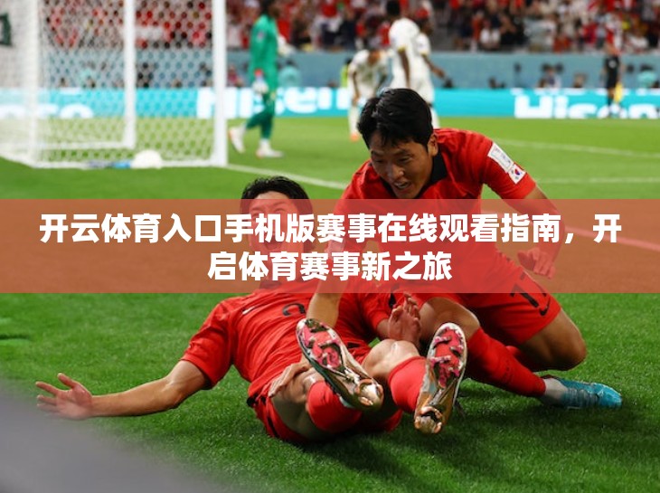 开云体育入口手机版赛事在线观看指南，开启体育赛事新之旅