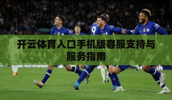开云体育入口手机版客服支持与服务指南