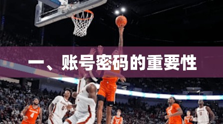 一、账号密码的重要性