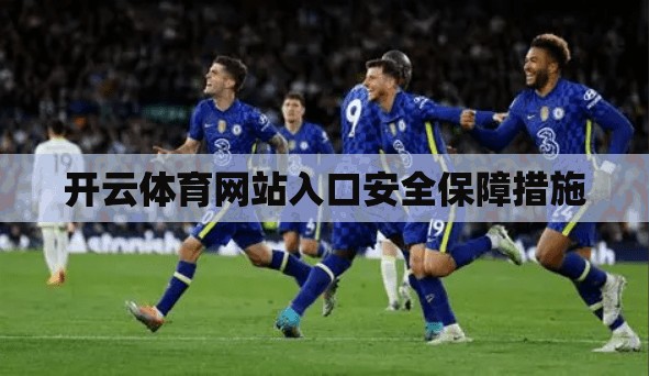 开云体育网站入口安全保障措施