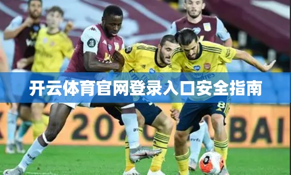 开云体育官网登录入口安全指南