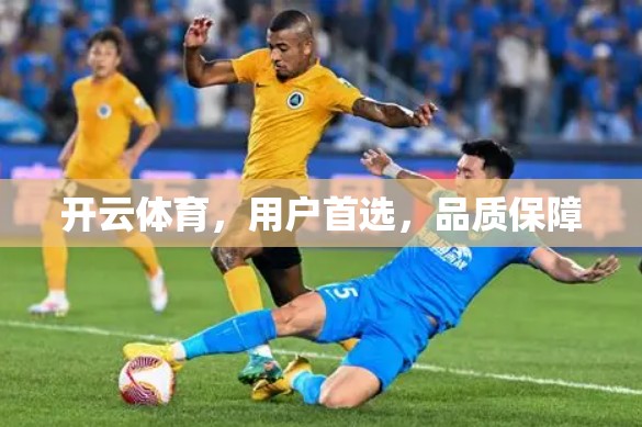 开云体育，用户首选，品质保障