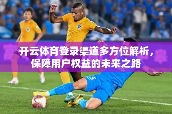 开云体育登录渠道多方位解析，保障用户权益的未来之路