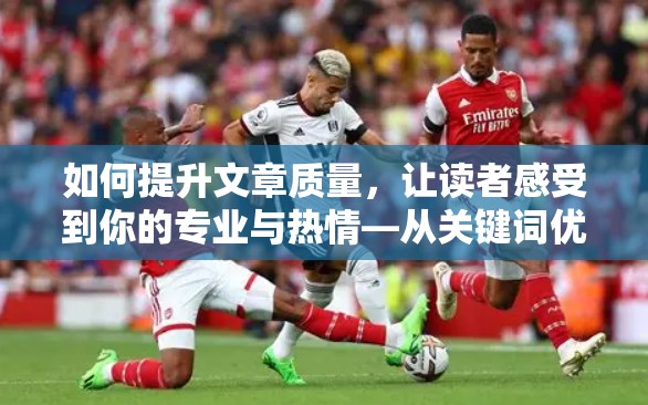 如何提升文章质量，让读者感受到你的专业与热情—从关键词优化到情感共鸣