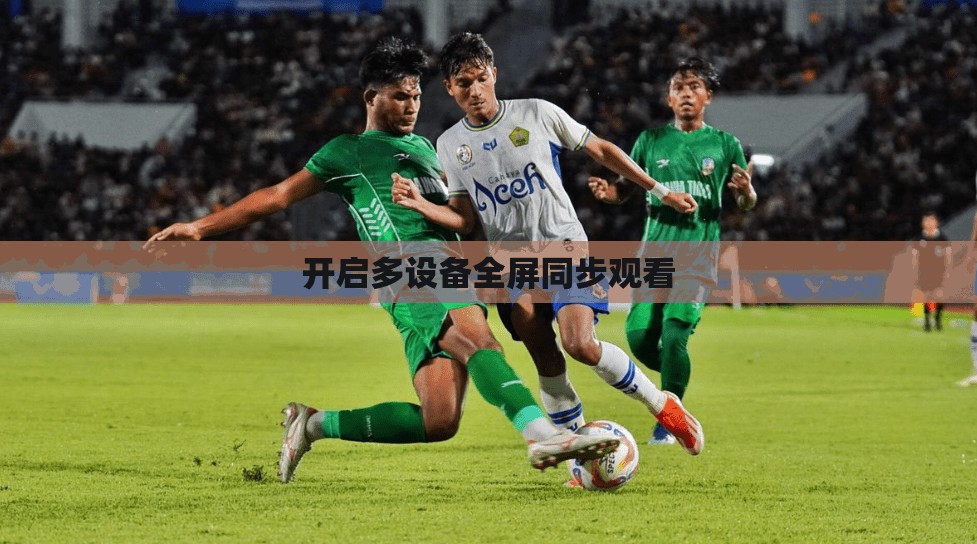 开启多设备全屏同步观看