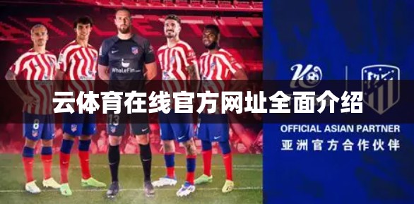 云体育在线官方网址全面介绍