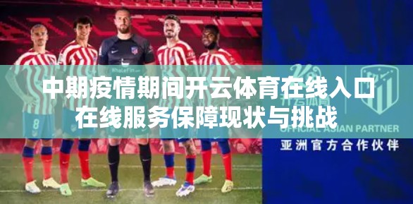 中期疫情期间开云体育在线入口在线服务保障现状与挑战