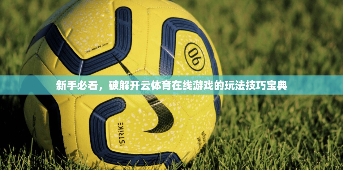 新手必看，破解开云体育在线游戏的玩法技巧宝典